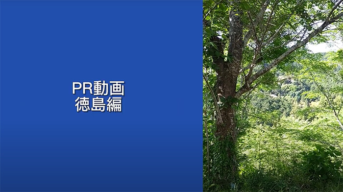 徳島県
